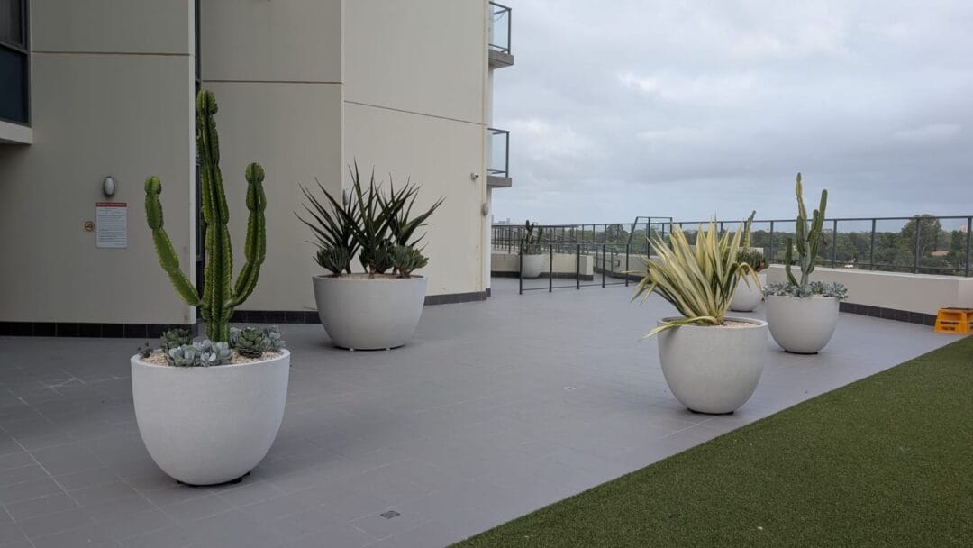 White Extra Large Egg Planters Installed In Commercial Space