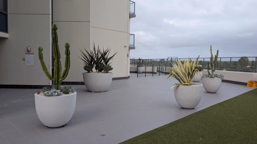 White Extra Large Egg Planters Installed In Commercial Space
