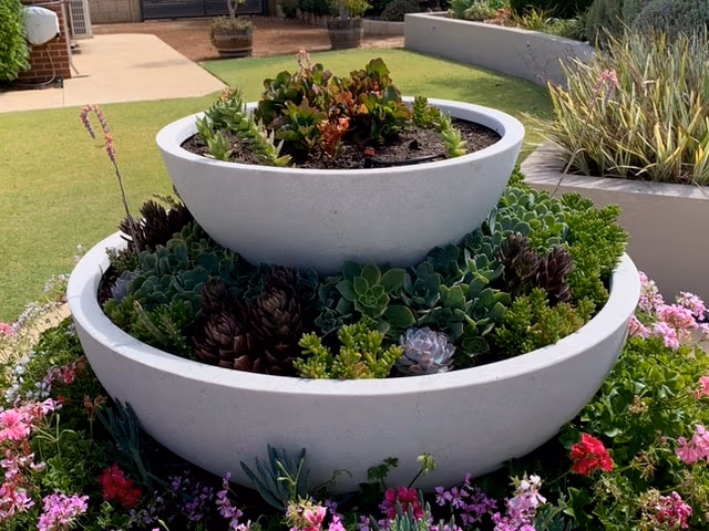 Low Bowls Planters