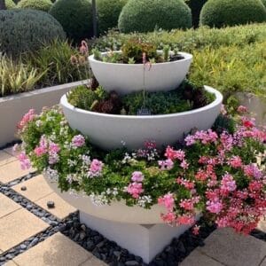 Low Bowl Planters: Round Planters Perfect For Small Plants