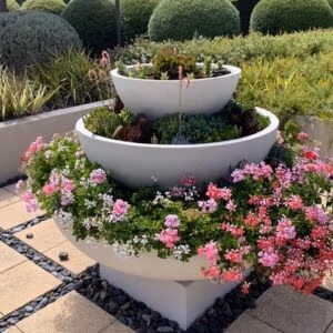 Low Bowl Planters: Round Planters Perfect For Small Plants