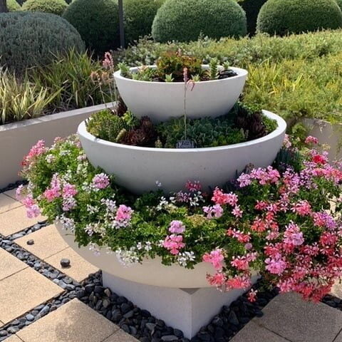 Low Bowls Planters: Round planters perfect for small plants