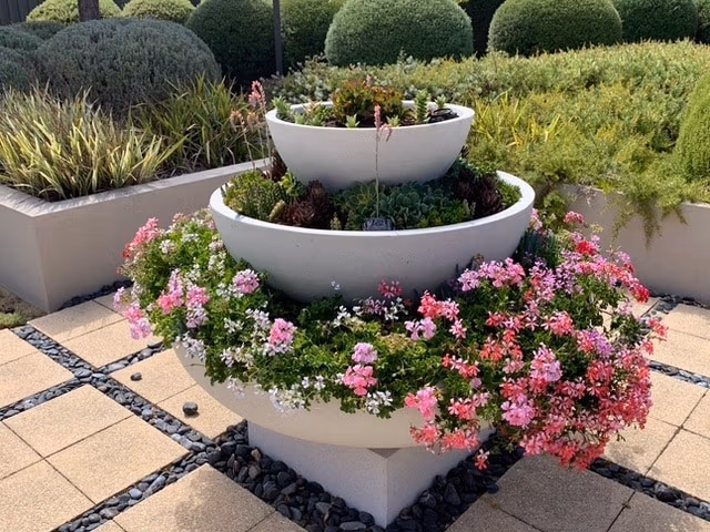 Low Bowl Planters: Round Planters Perfect For Small Plants