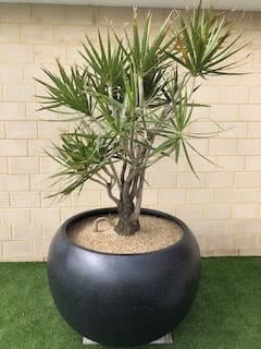Ball Planters