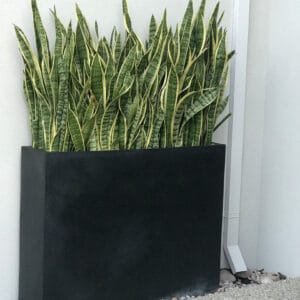 Divider Troughs