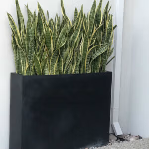 Divider Troughs