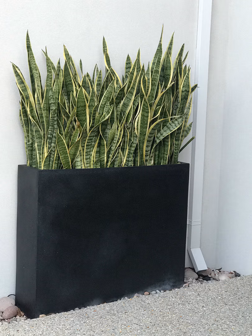 Divider Troughs