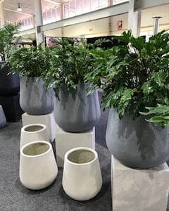 Bell Planter