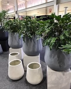 Bell Planter