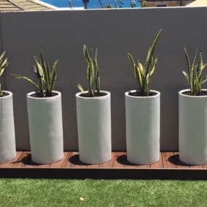 Cylinder Planter