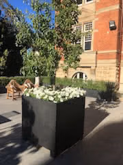 Cube Planter on feet