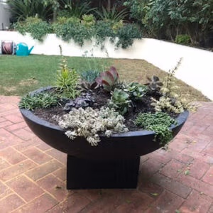 Large Bowl Planter for Outdoor Space