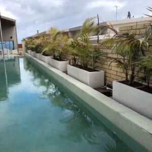 Trough Planter