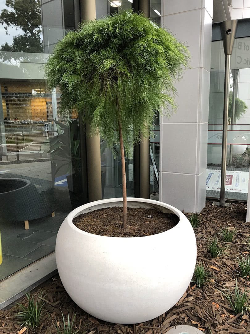 Ball Planter