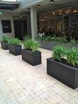 Trough Planter