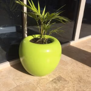 APPLE POT