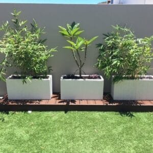 Trough Planter