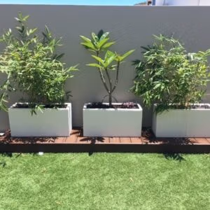 Trough Planter