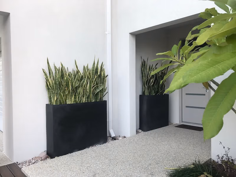 Tall Divider Trough