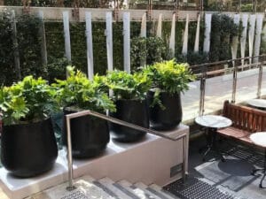Commercial Planters – Brookfield