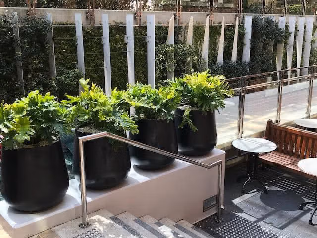 Commercial Planters Brookfield