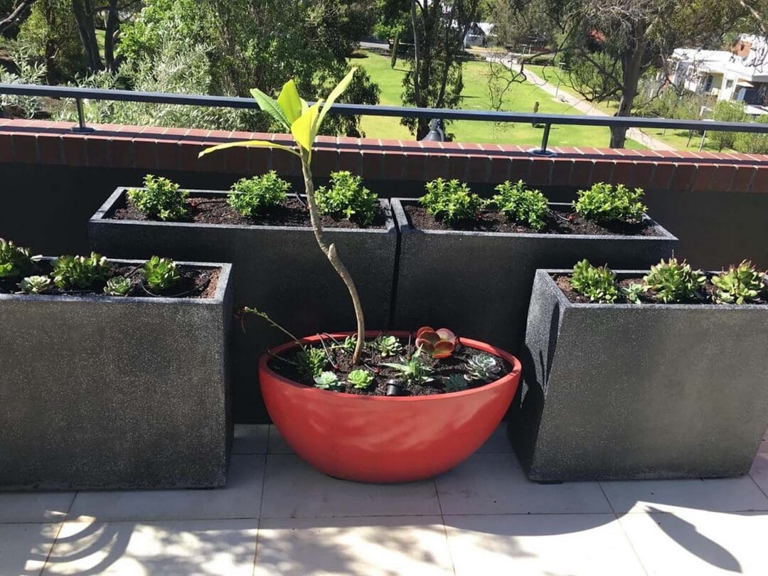 Roof Top And Balcony Planters