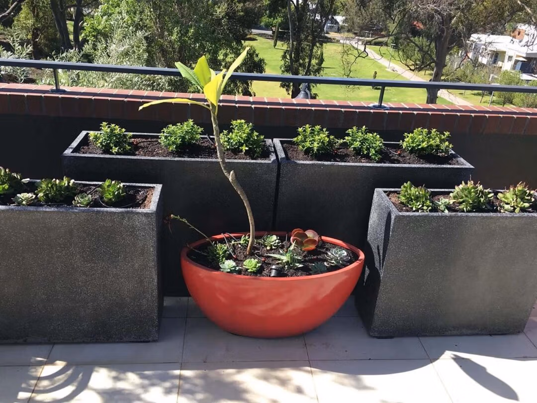 Roof Top And Balcony Planters