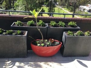Roof Top And Balcony Planters
