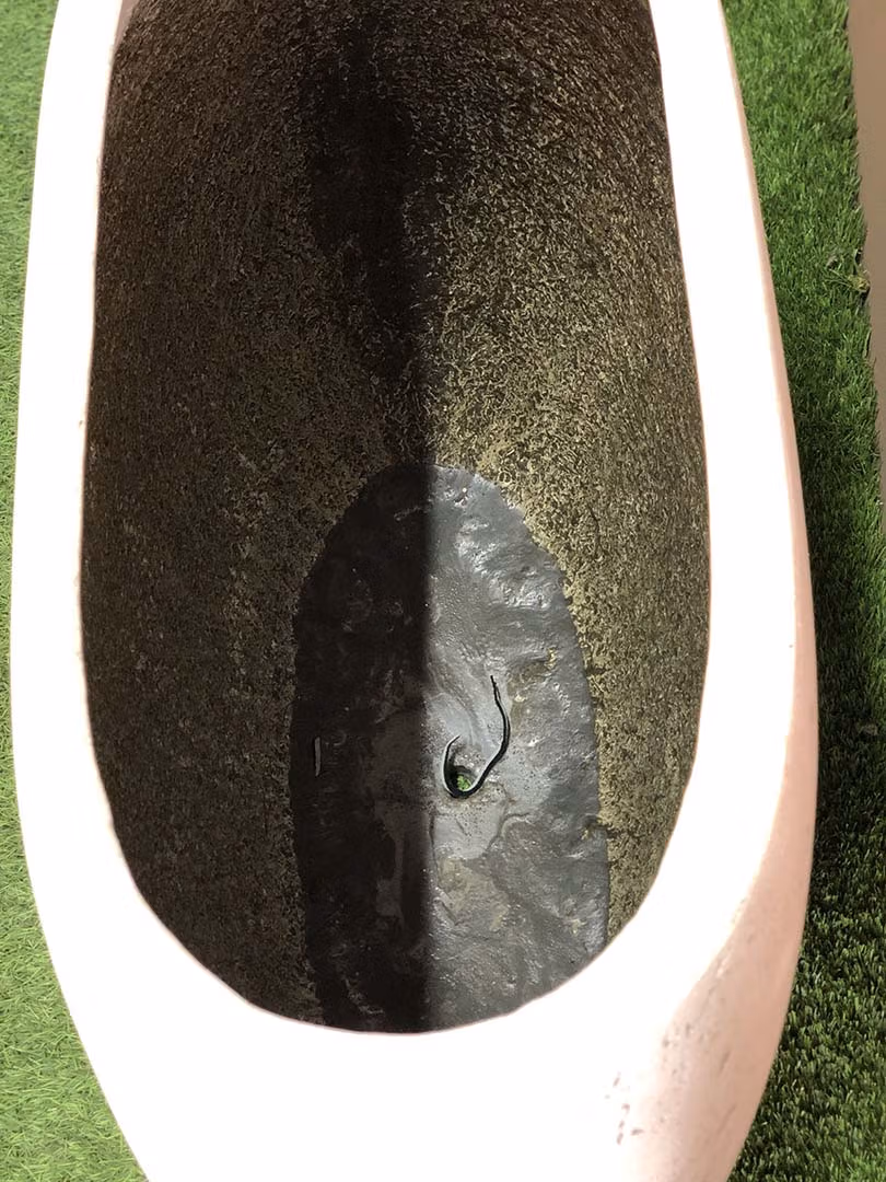 Capri Trough Planter
