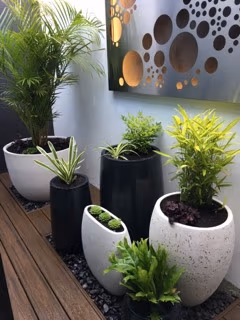 Capri Trough Planter