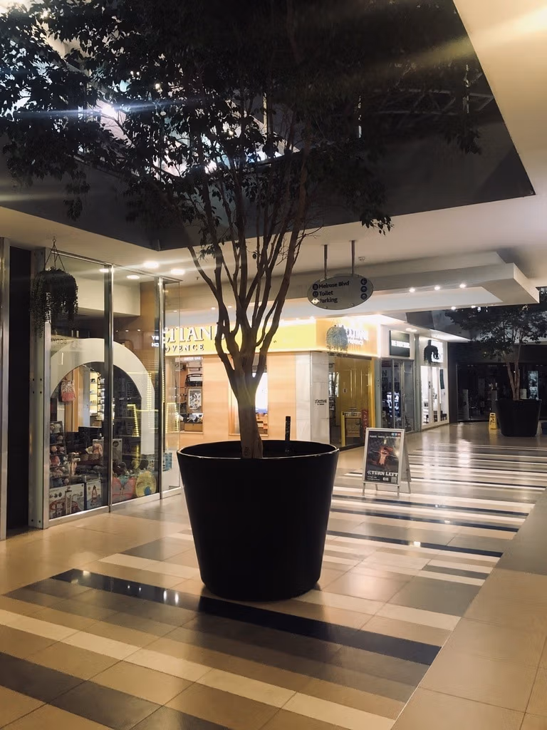 Outdoor Decor Design Service &Amp; Consultation