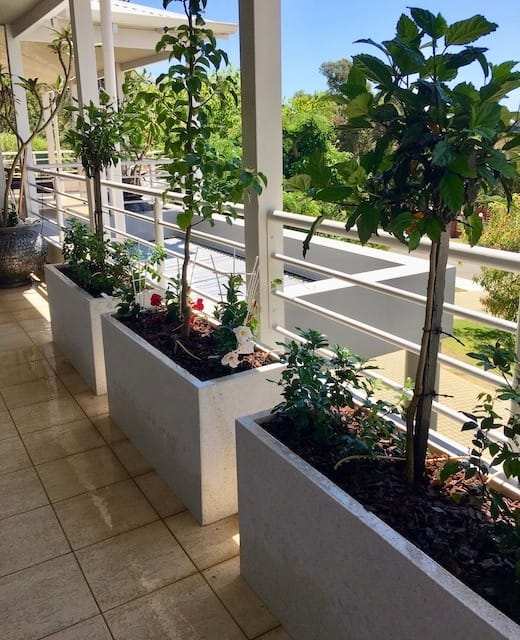 Trough Planter
