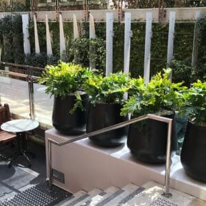 Commercial Planters