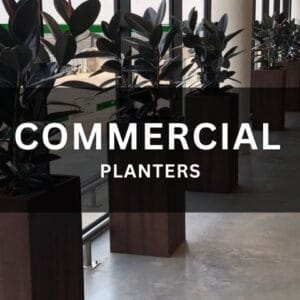 Commercial Planters