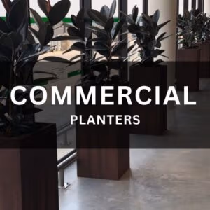 Commercial Planters
