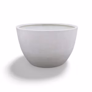 Giant Egg Planter: A large egg-shaped white planter for plants
