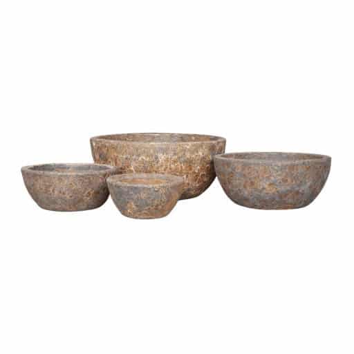 Horta Bowls