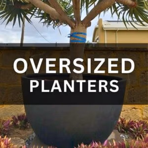 Oversize Planters