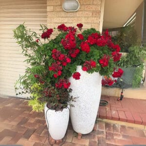 Tall Round Taper Planter With Flowers