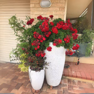 Tall Round Taper Planter With Flowers