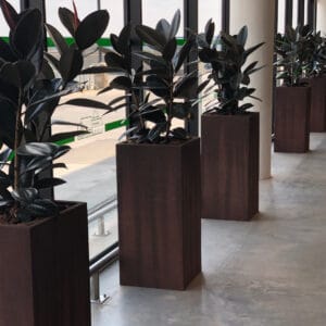 Tall Square Commercial Planters